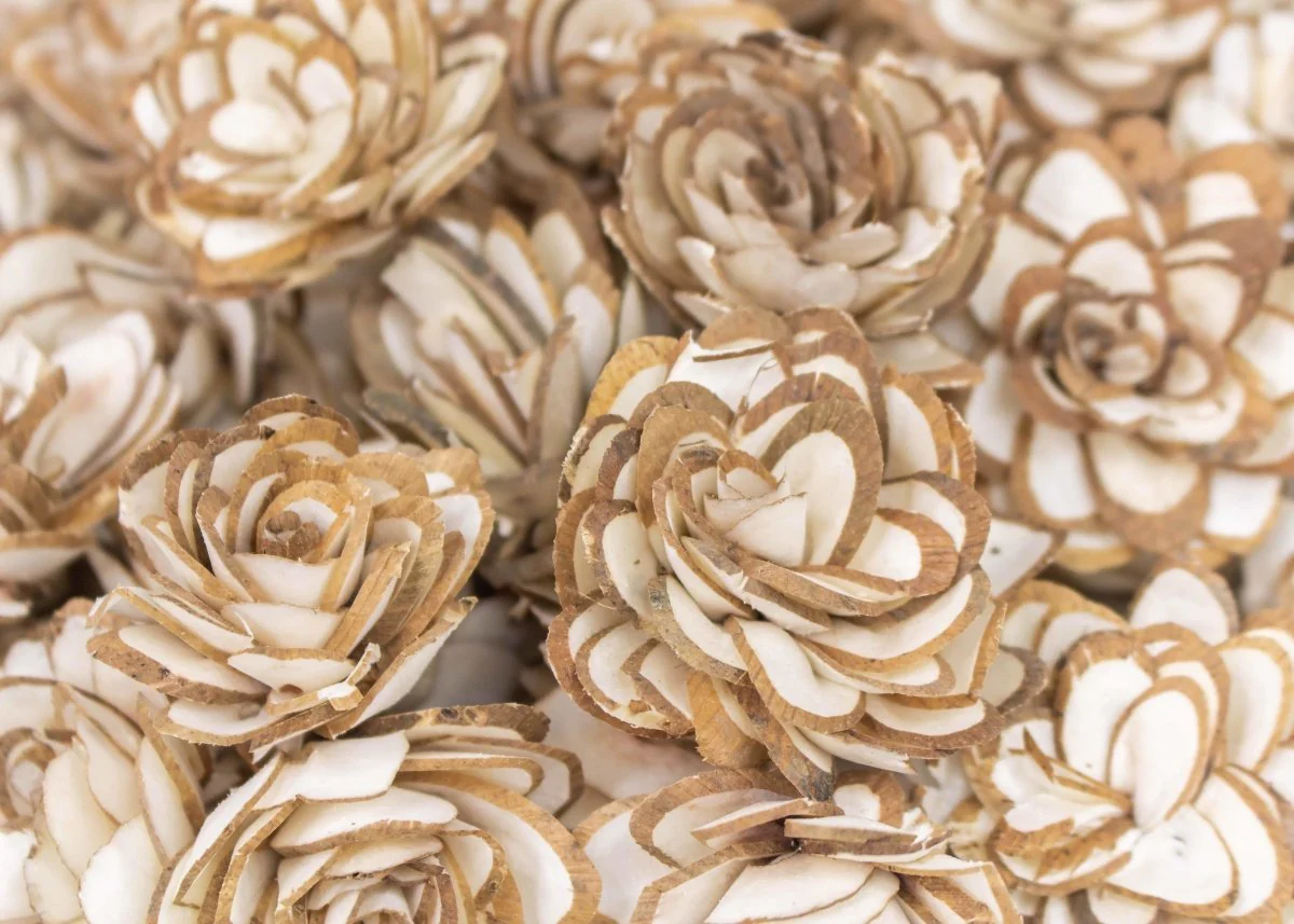 1.5" Almond - 50 Pack - Image 2