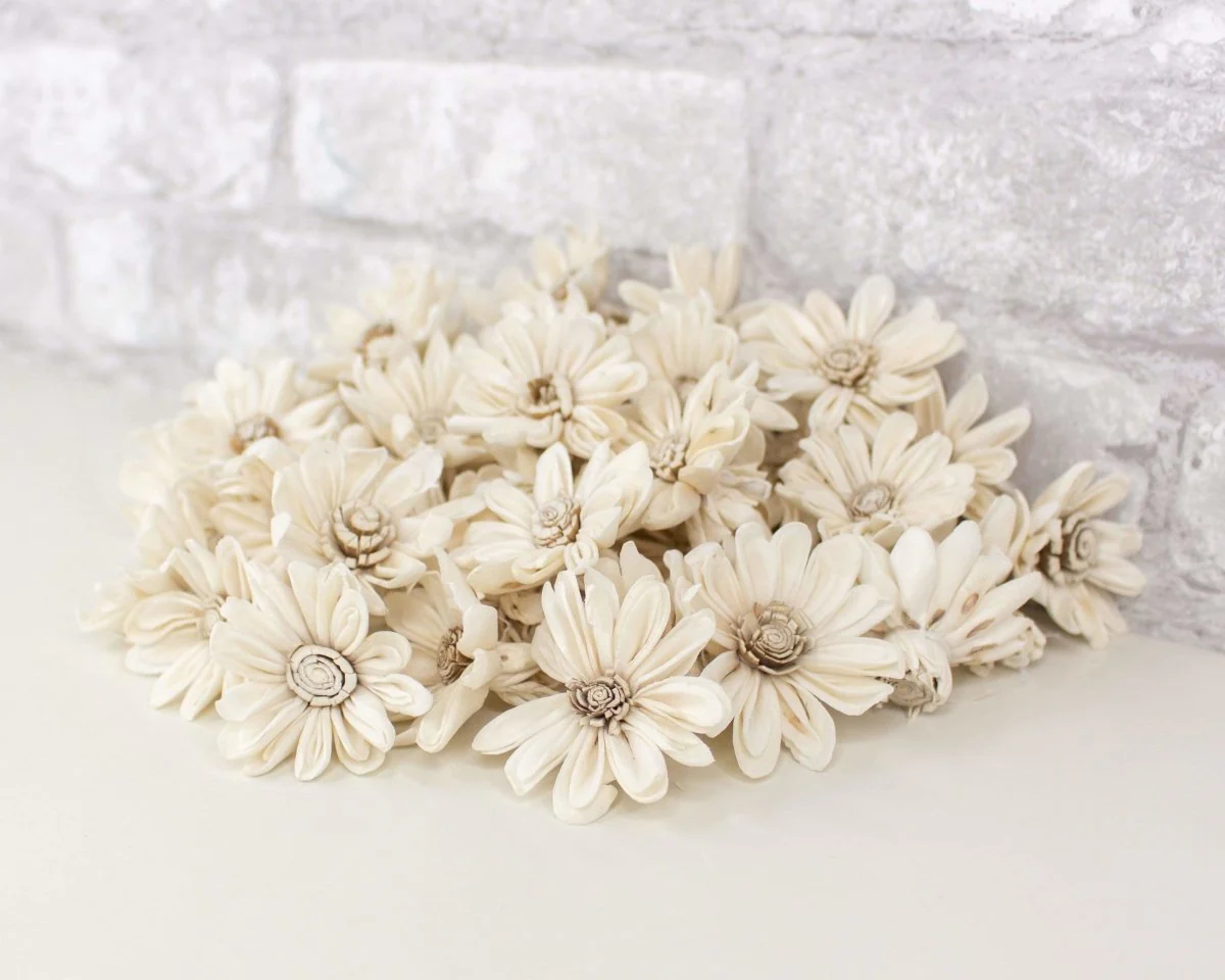 1.5" Daisy May - 50 Pack