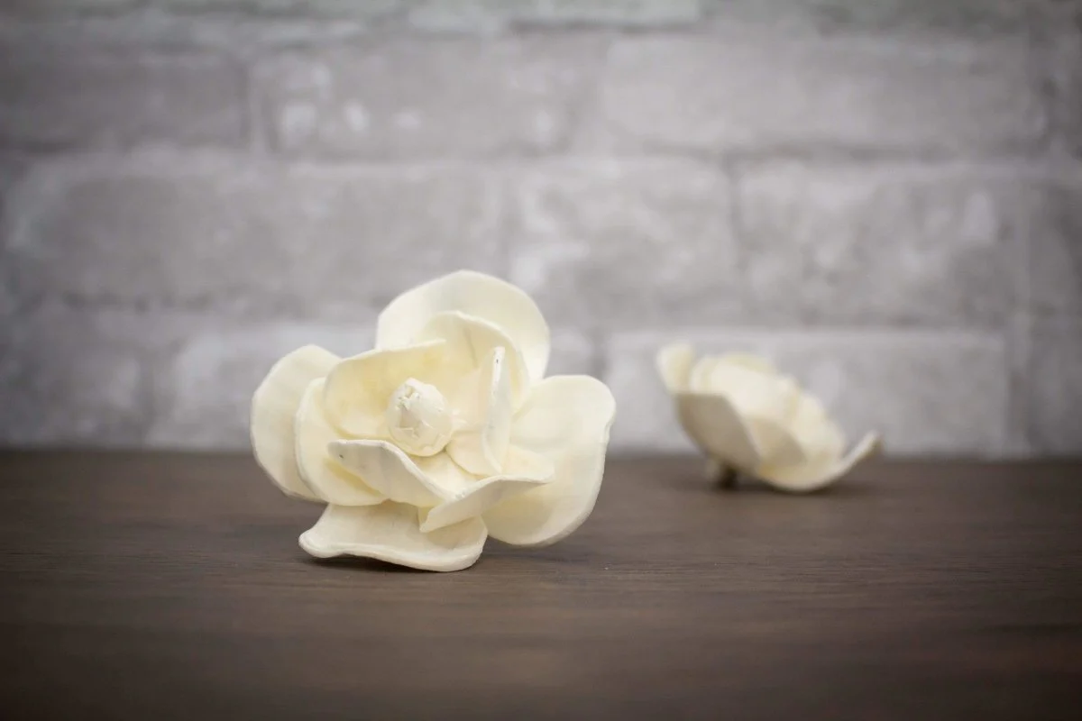 1.5" Magnolia (10 Pack)