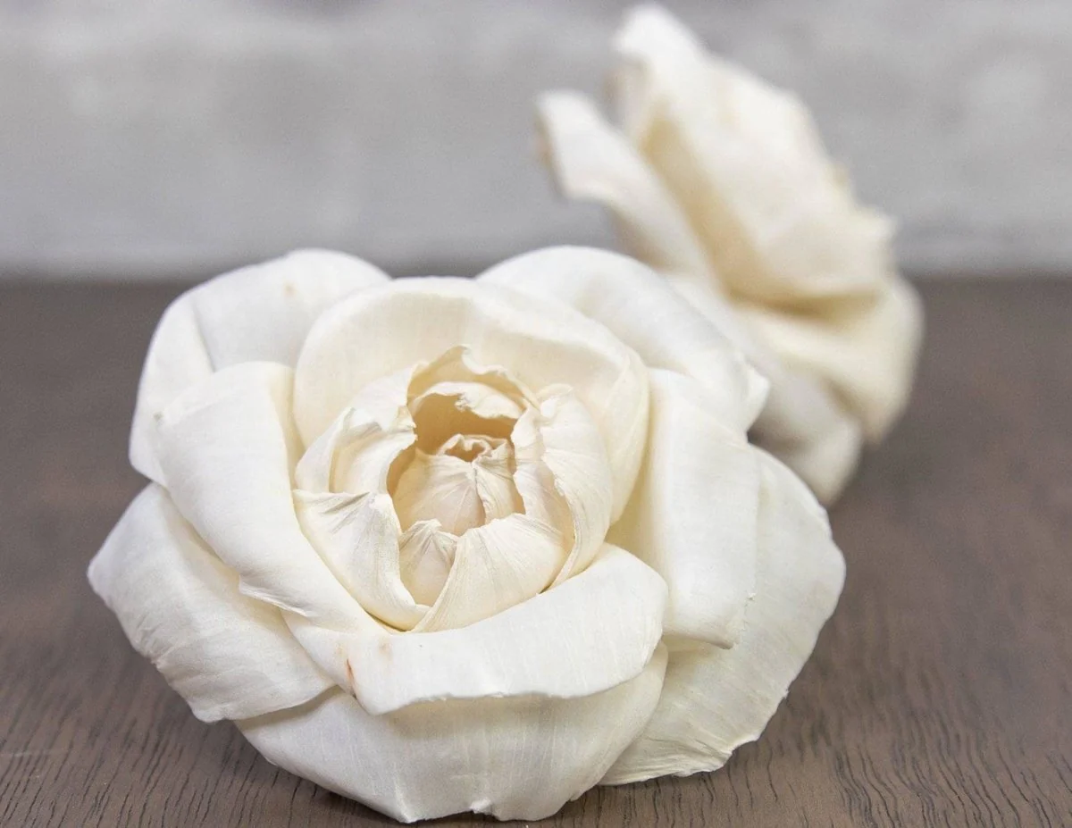 1.5" Ravishing Rose (10 Pack)