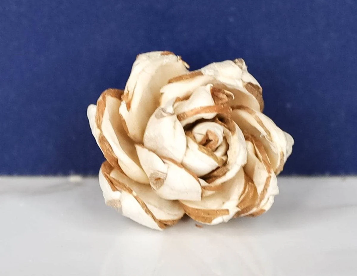 1.5" Savvy (10 pack) - Image 2