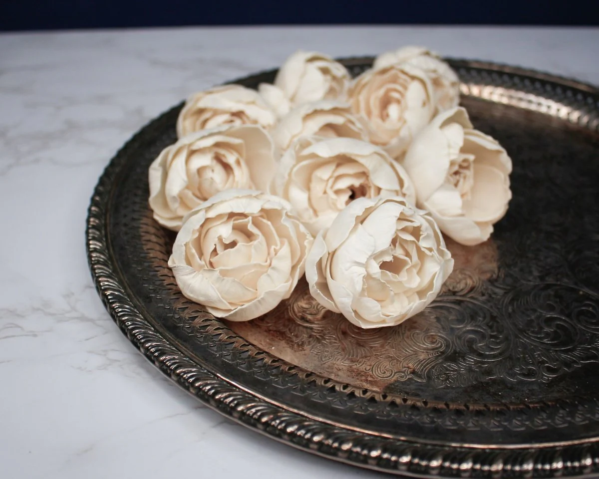 1.5" Sorbet Peony (10 Pack)