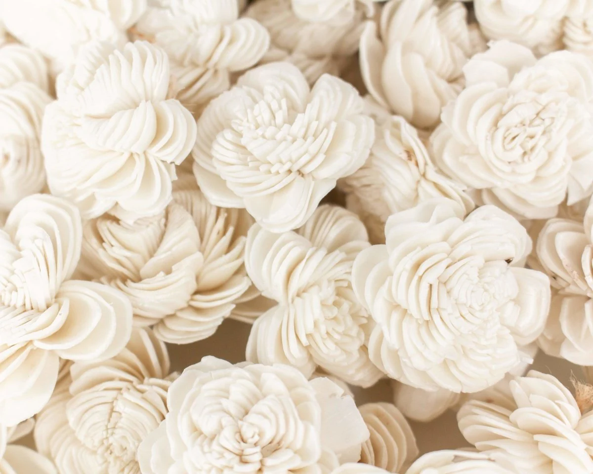 1.5" Spiral - 50 Pack - Image 2