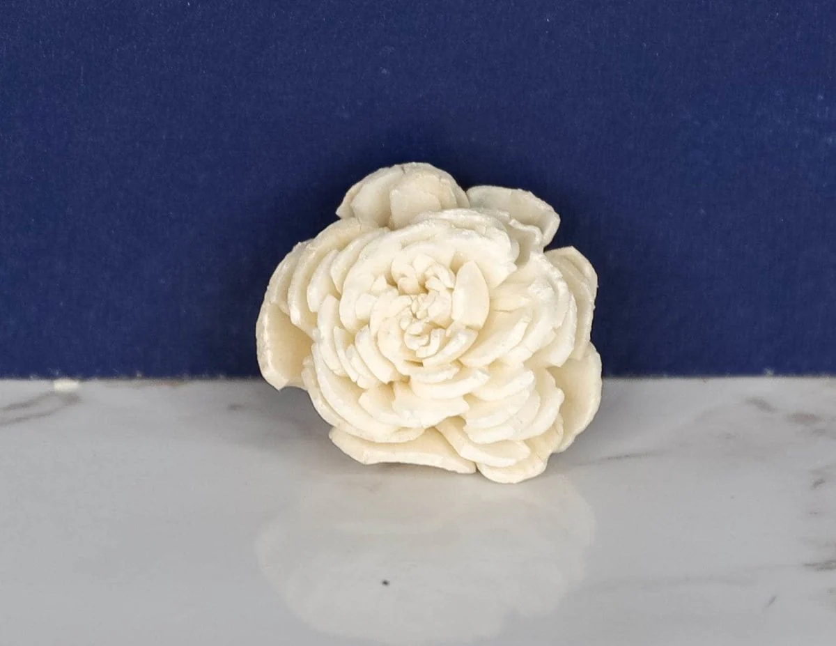 1" Bali 10 Pack - Image 2