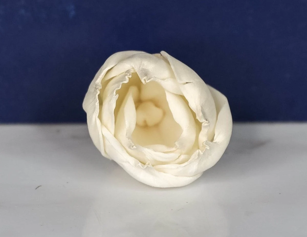 1" Precious Tulip (10 pack) - Image 2