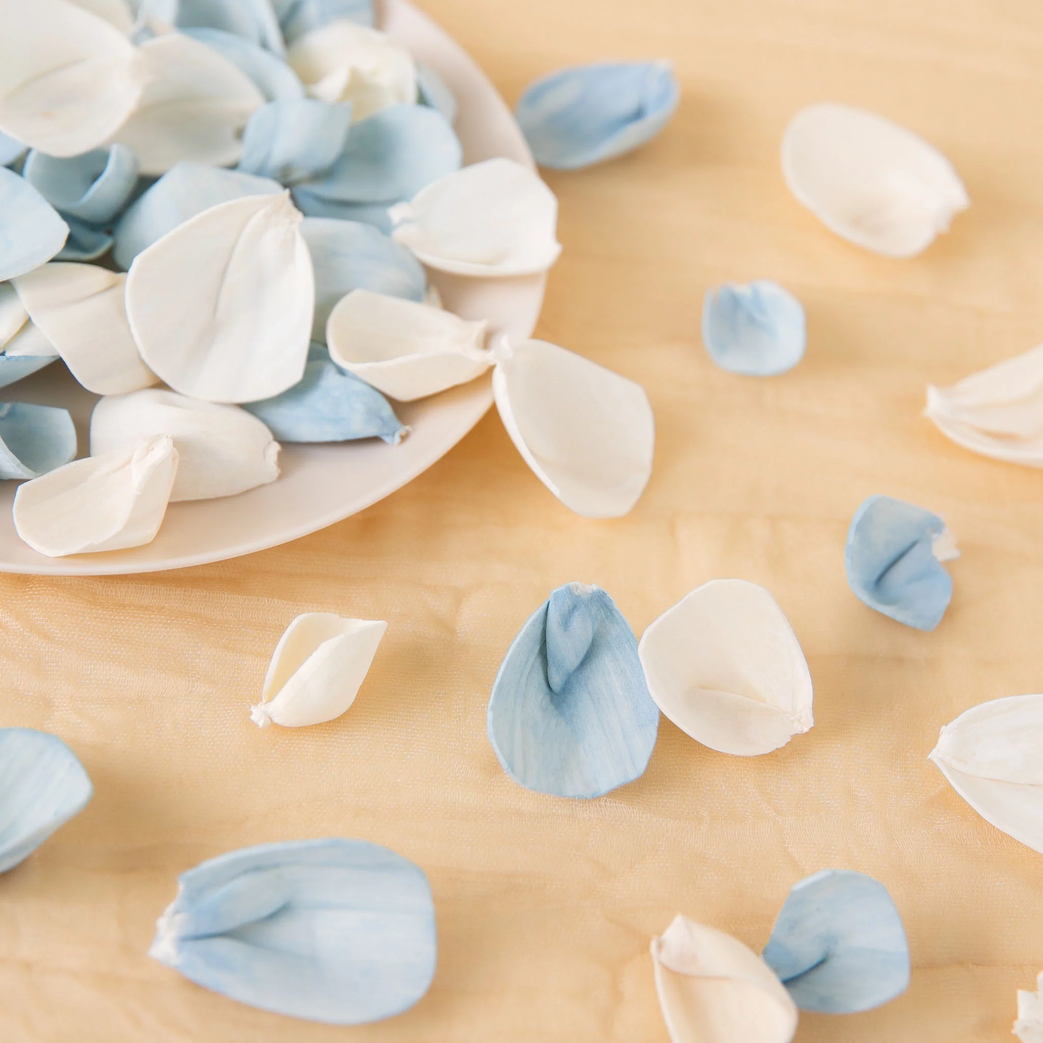 100 Petal Pack - Eloise - Image 2