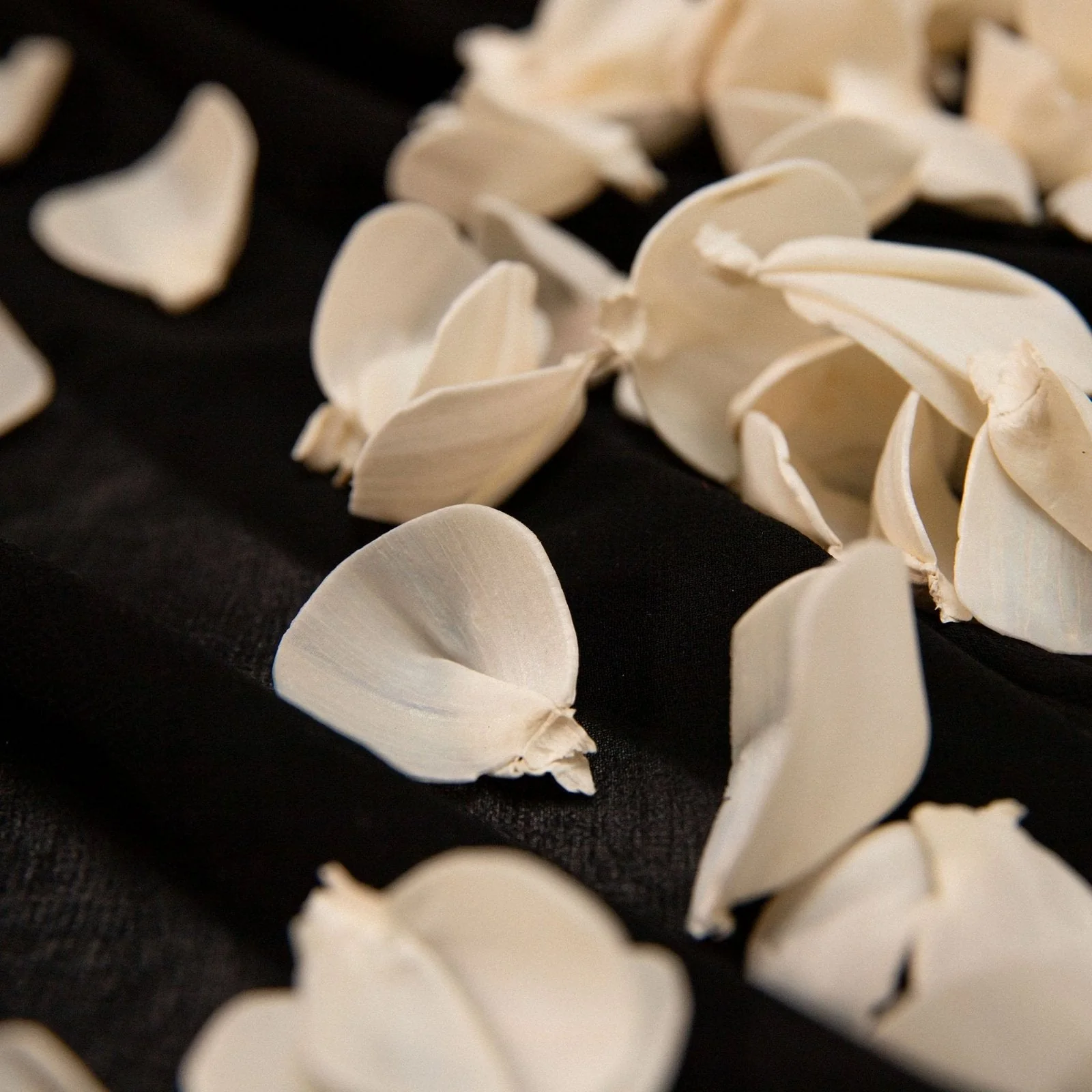 100 Petal Pack - Pure Elegance - Image 2