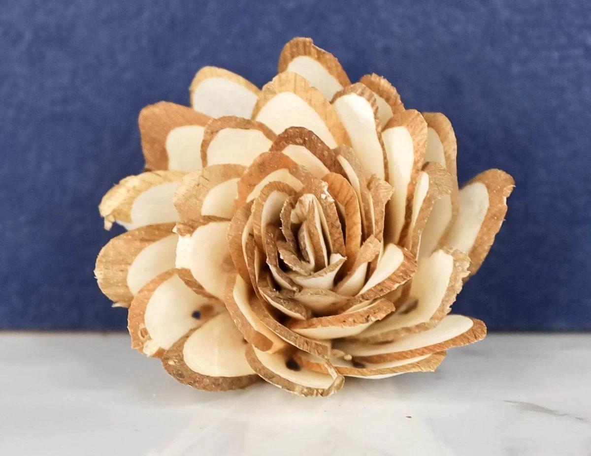 2" Almond (10 pack) - Image 2