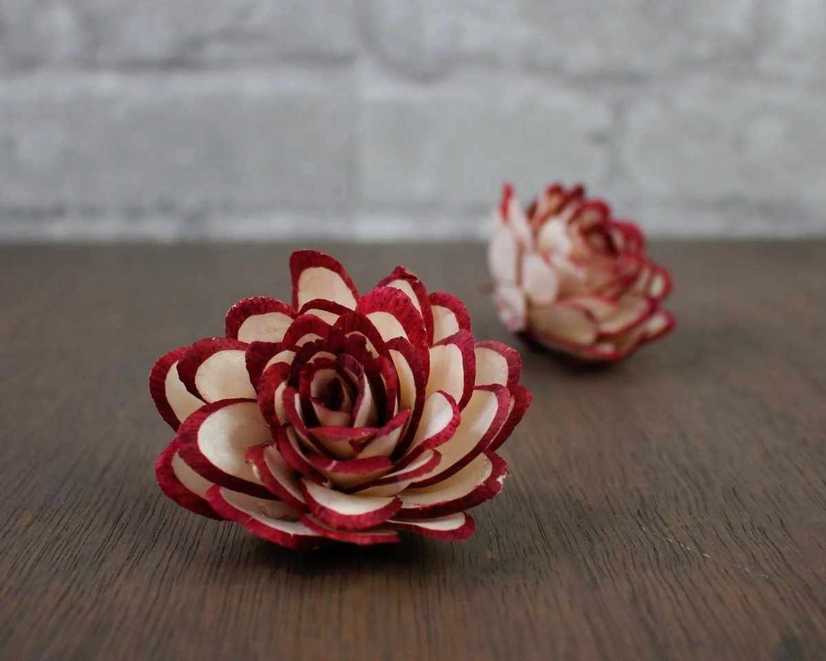 2" Almond w/ Maroon Tips (10 Pack) - Image 2