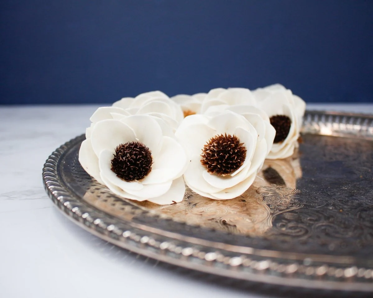 2" Anemone (10 pack)
