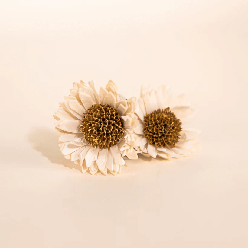 2" classic daisy (4 X  Single Flower)