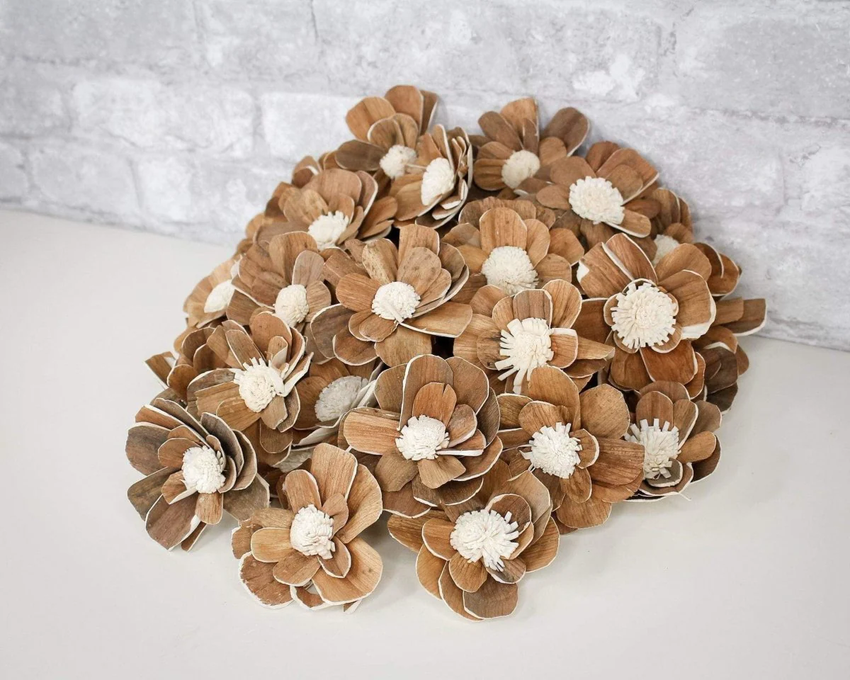 2" Coco - 50 Pack - Image 10