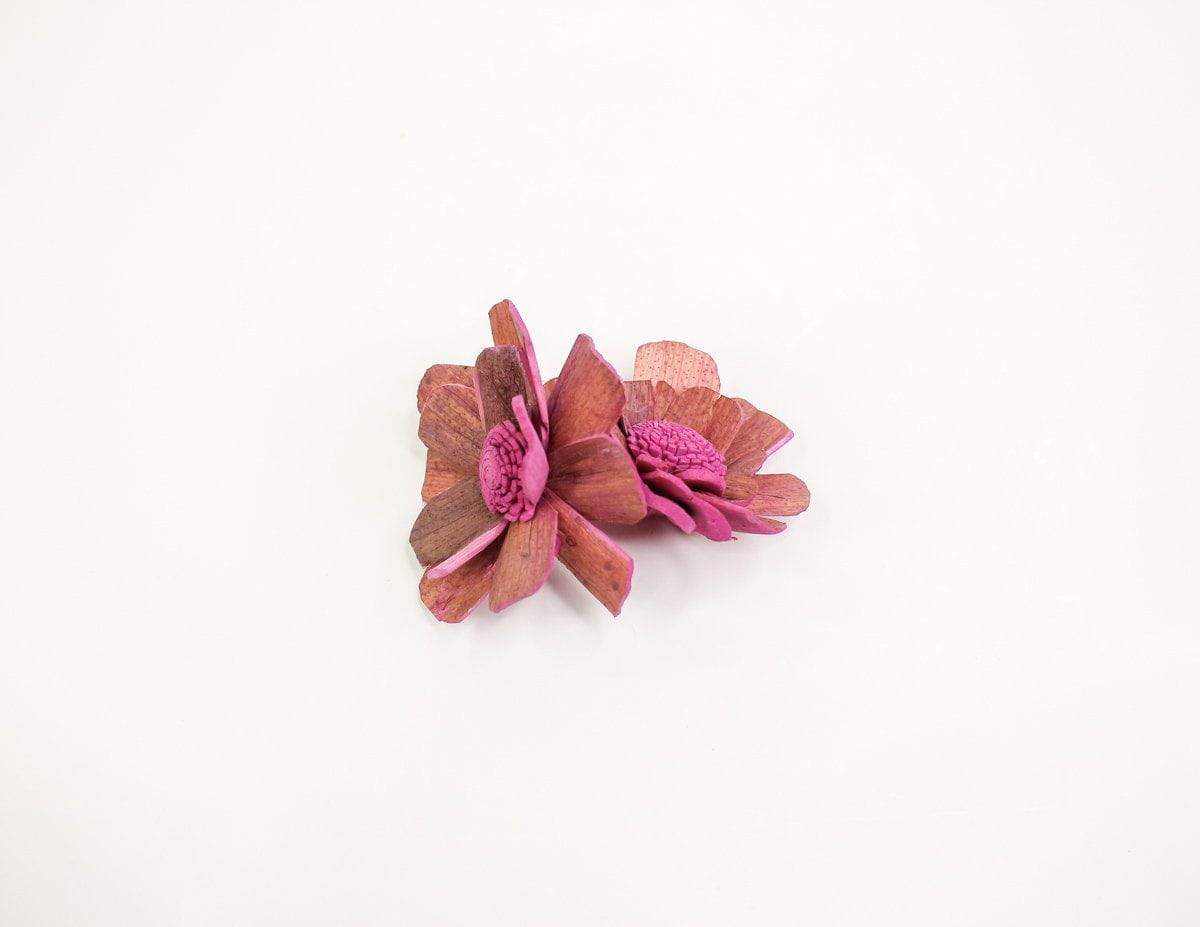 2" Coco - 50 Pack - Image 11