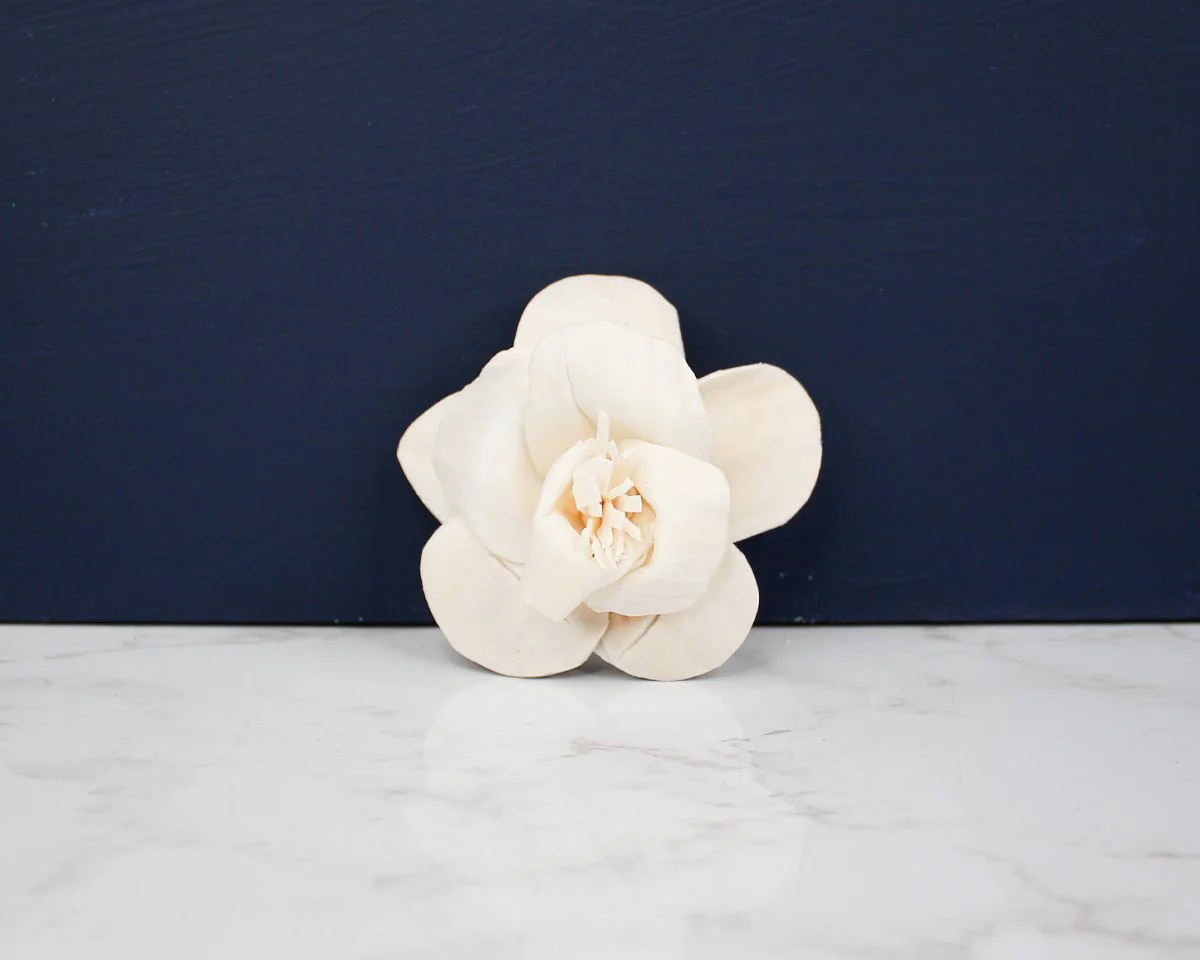 2" Daffodil (10 Pack) - Image 2