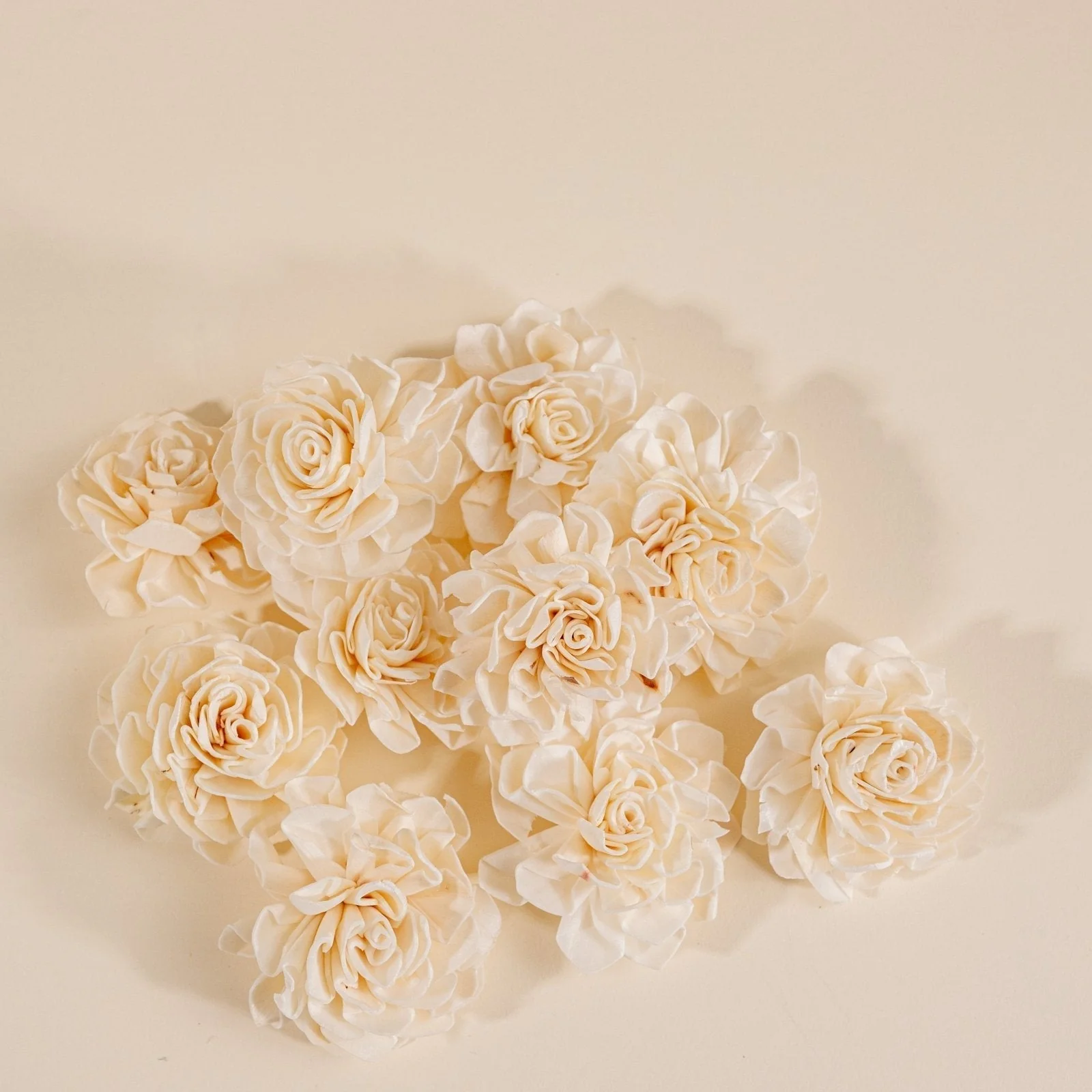 2" Dahlia - 50 Pack