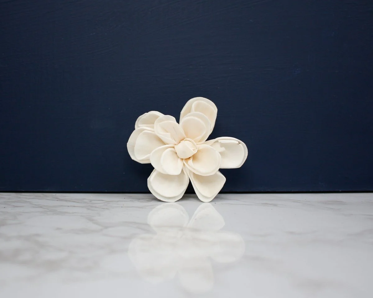 2" Dainty Daisy (10 pack) - Image 2