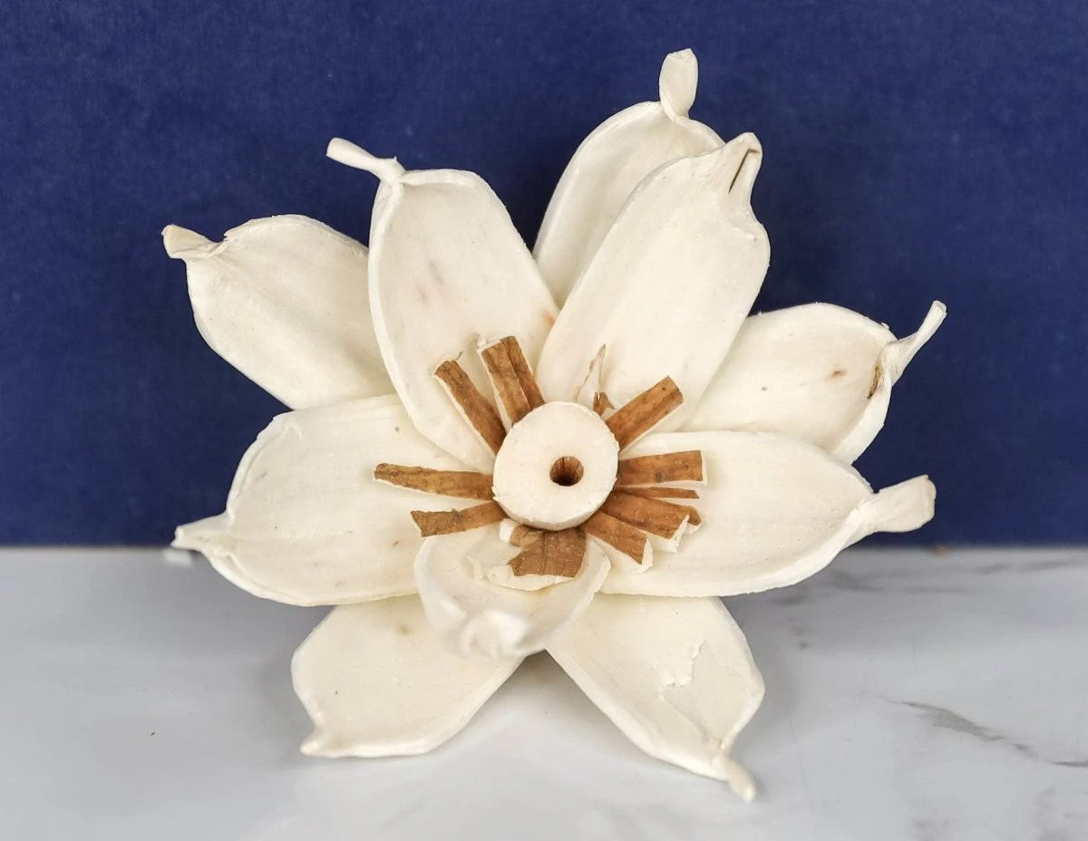 2" Gardenia (10 Pack) - Image 2