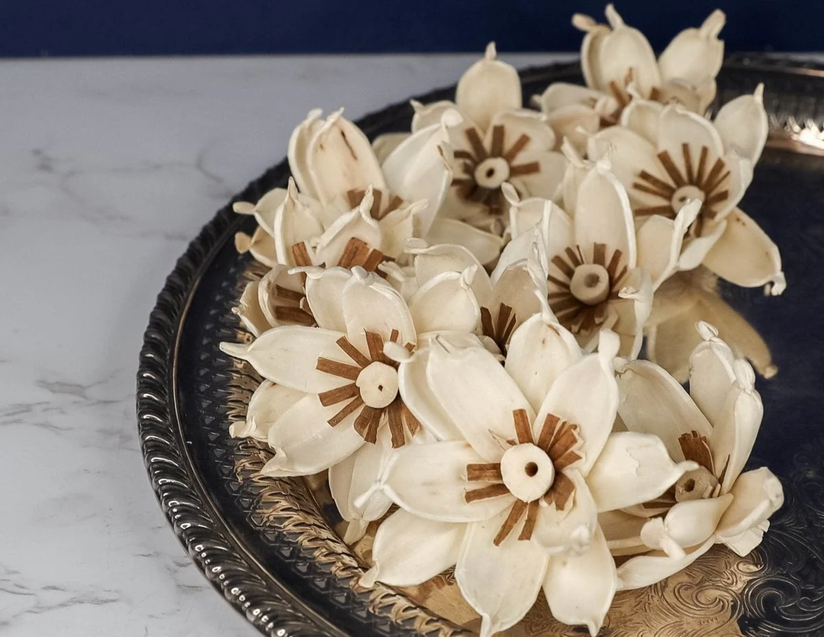 2" Gardenia (10 Pack) - Image 4