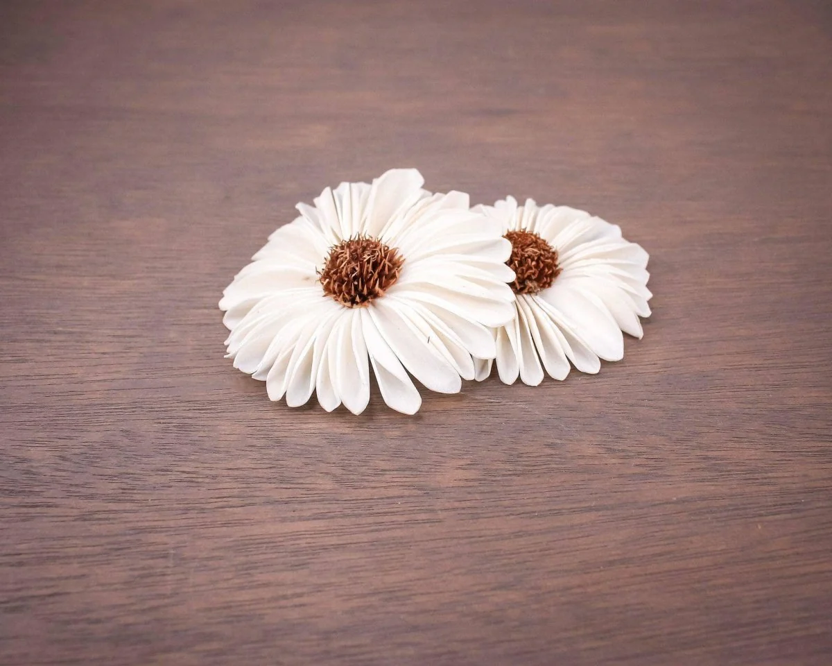 2" Gerbera Daisy (10 Pack) - Image 2
