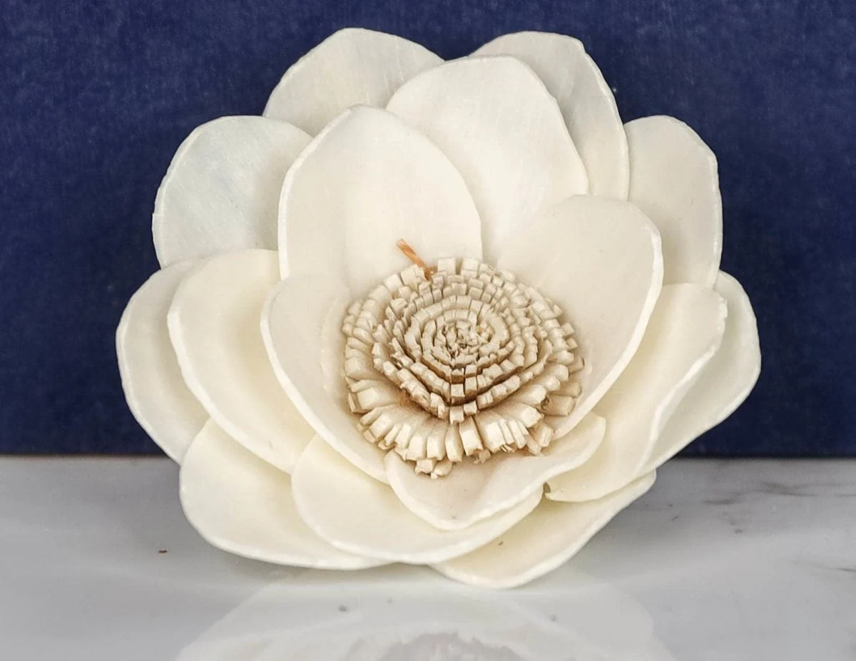 2" Honey (10 Pack) - Image 2