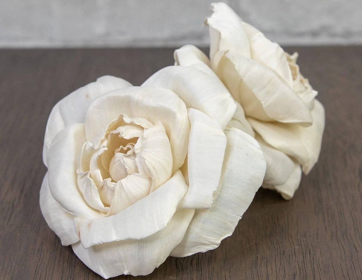2" Ravishing Rose (10 Pack) - Image 2