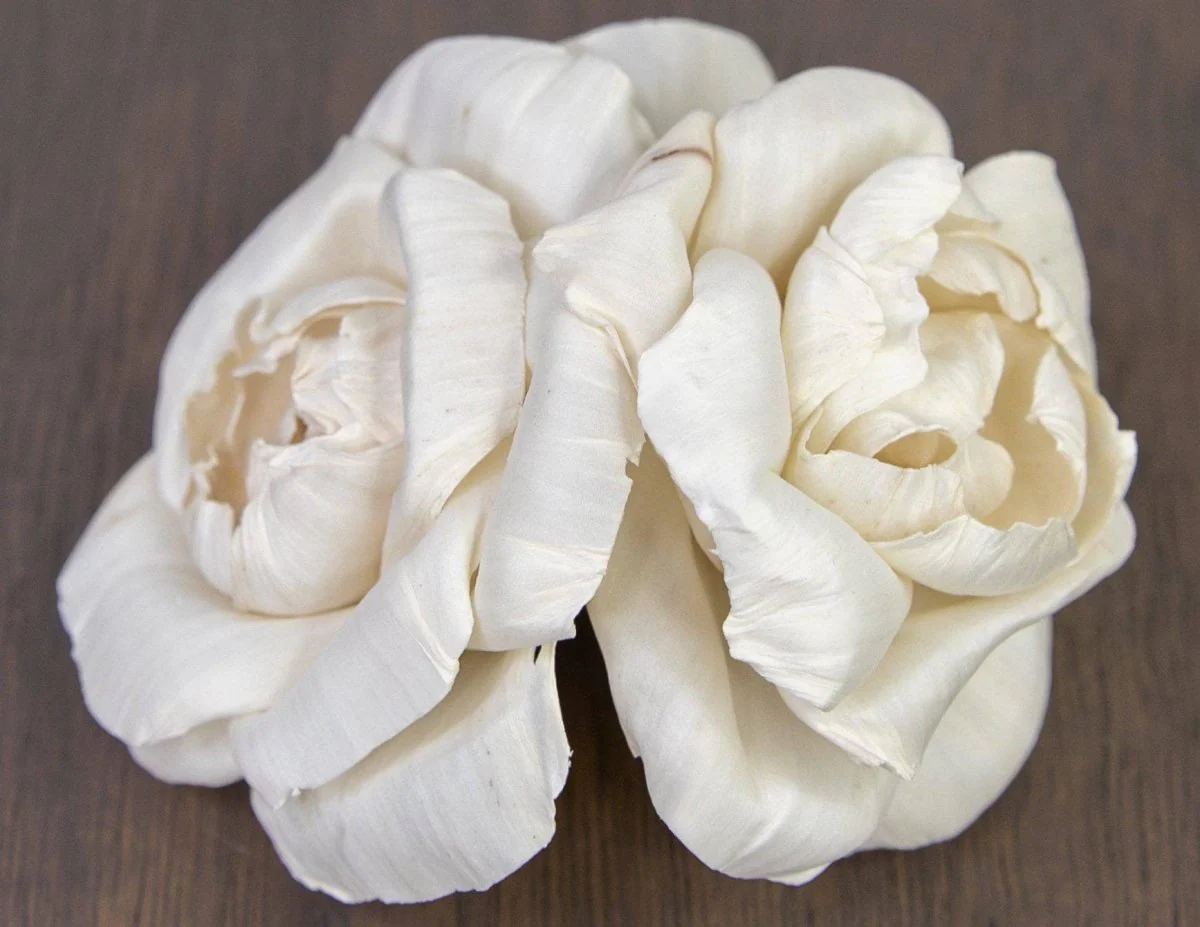 2" Ravishing Rose (10 Pack) - Image 3