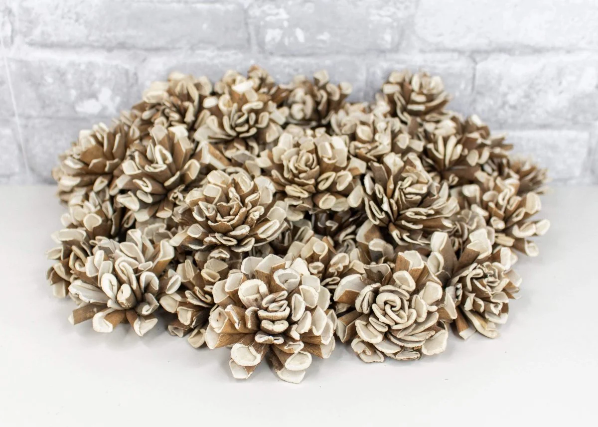 2" Bark Dahlia - 50 Pack