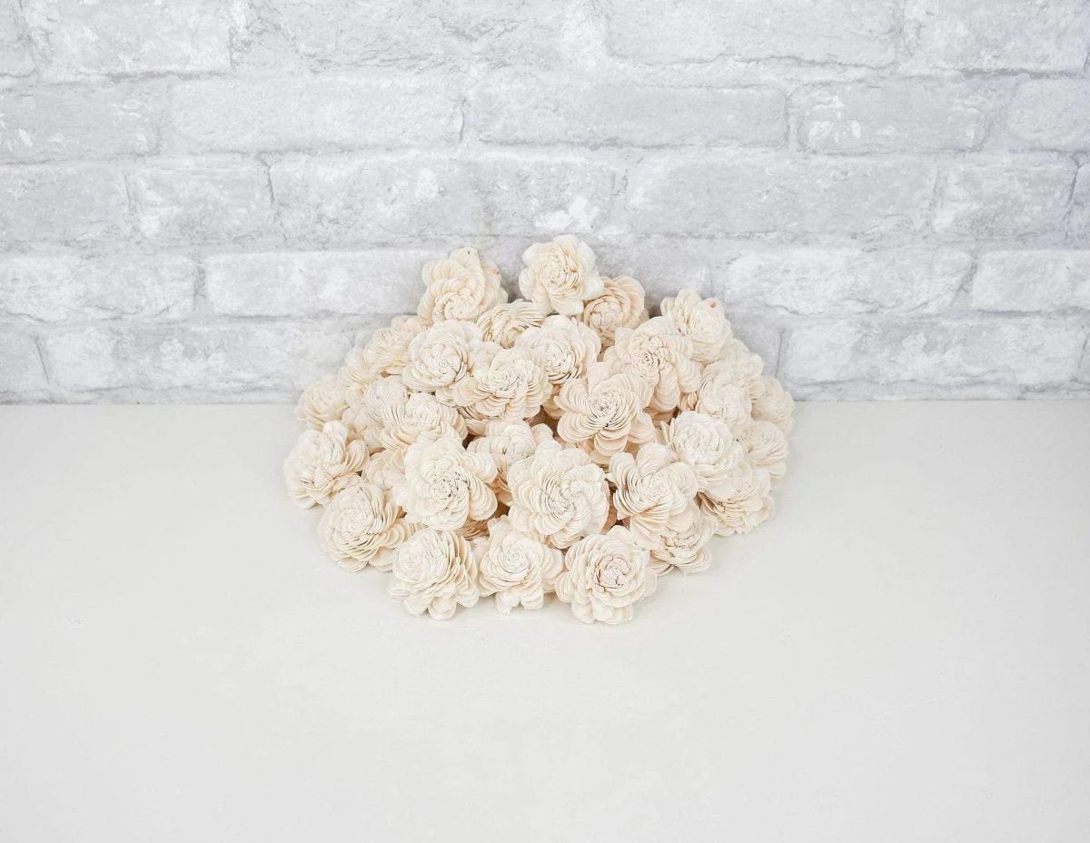 2" Spiral - 50 Pack - Image 5