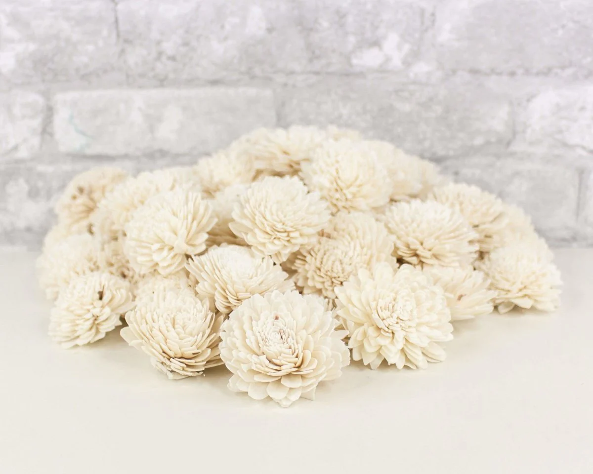 2" Zinnia - 50 Pack
