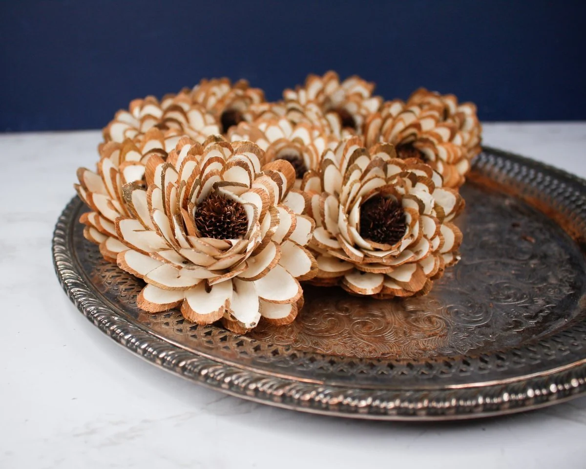 3" Almond Daisy (10 Pack)