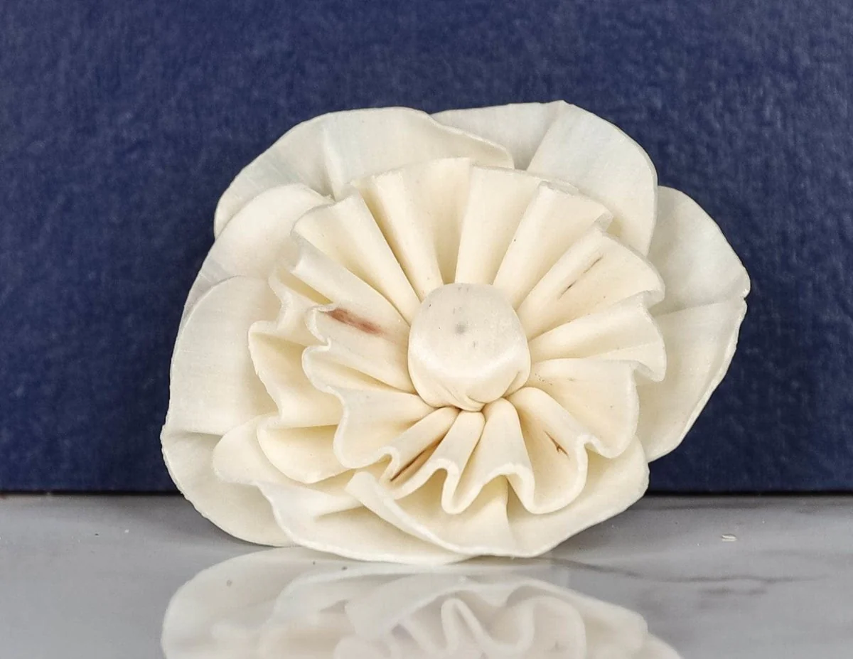 3" Beatrice (10 pack) - Image 2