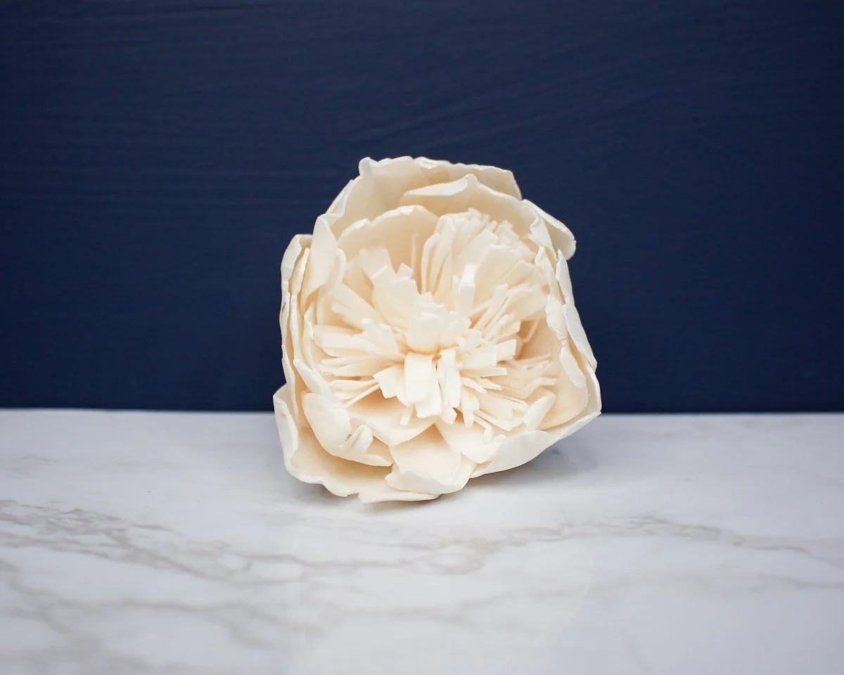 3" Bowl Of Beauty Peony (10 Pack) - Image 2