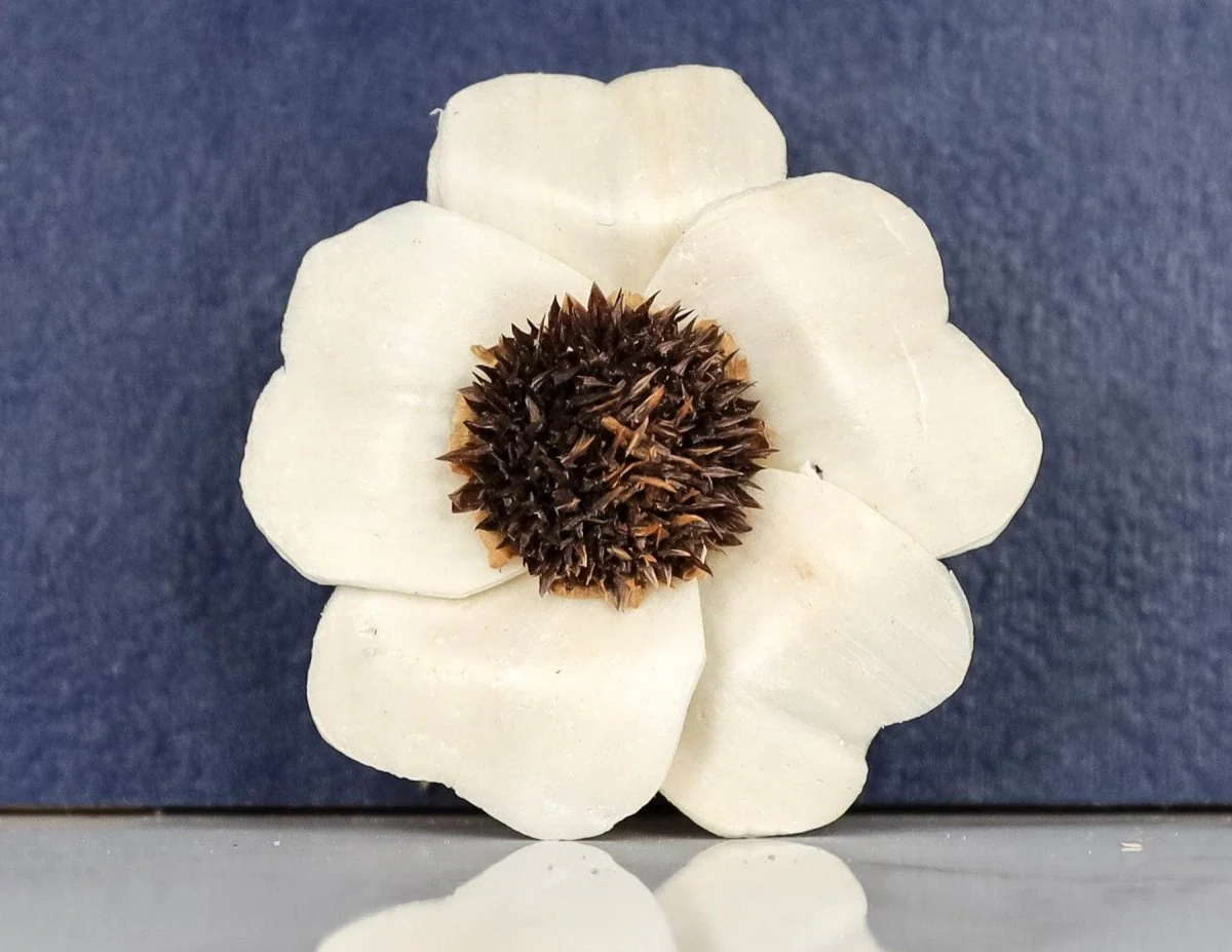 3" Heart Daisy (10 Pack) - Image 2