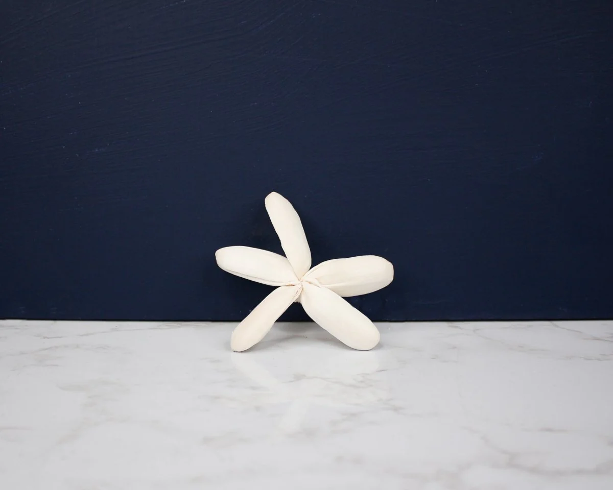 3" Dragonfly (10 Pack) - Image 2
