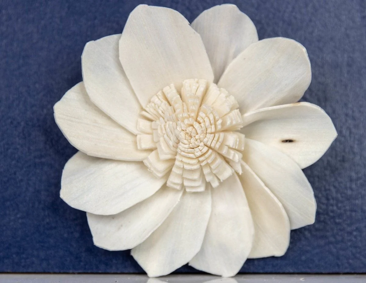 3" Millie (10 pack) - Image 2