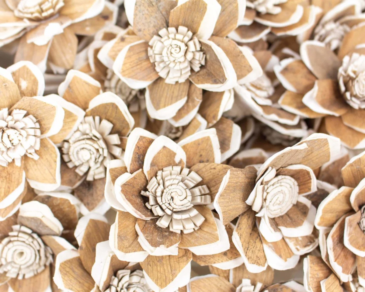 3" Mila - 50 Pack - Image 2