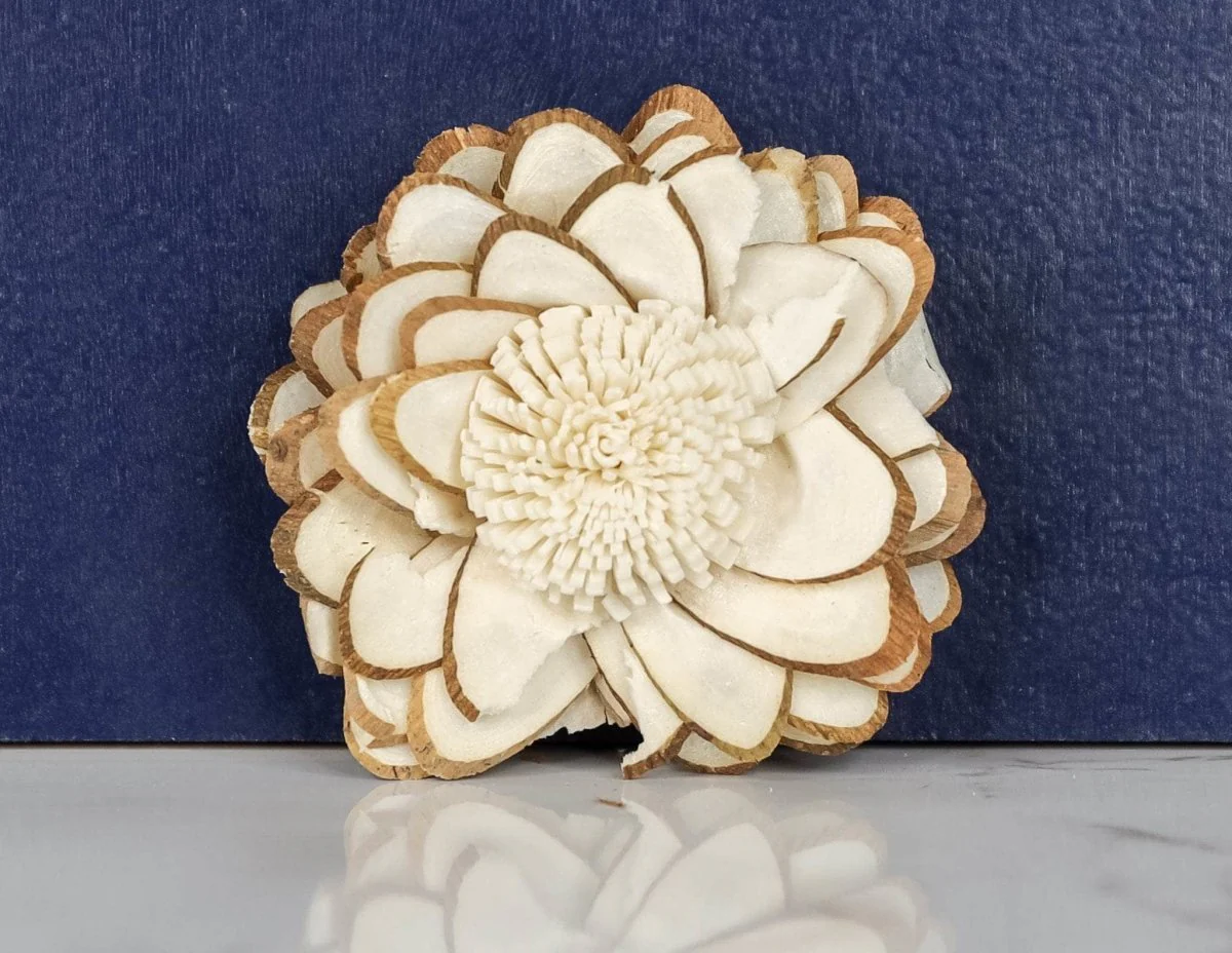 3" Penny (10 Pack) - Image 2