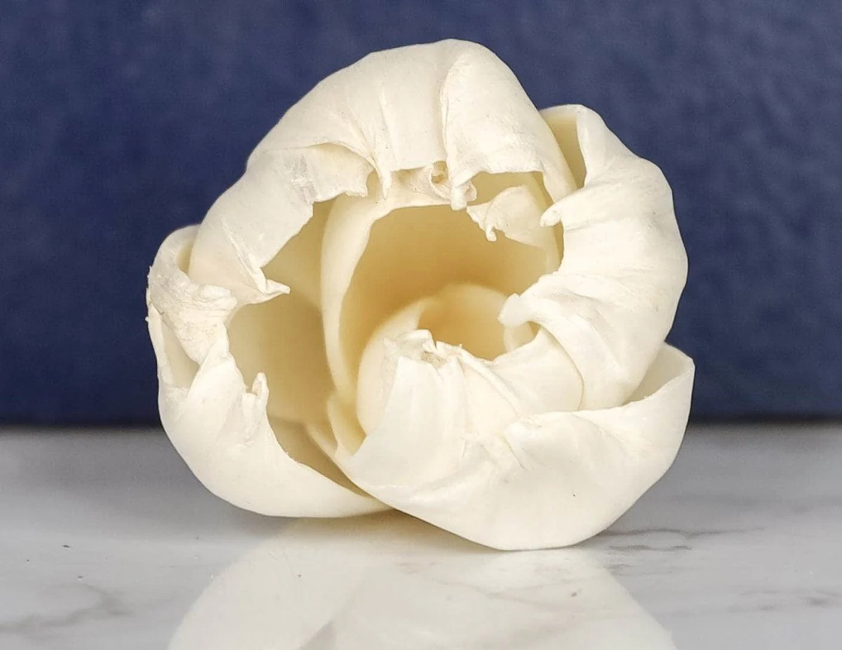 3" Precious Tulip (10 pack) - Image 2