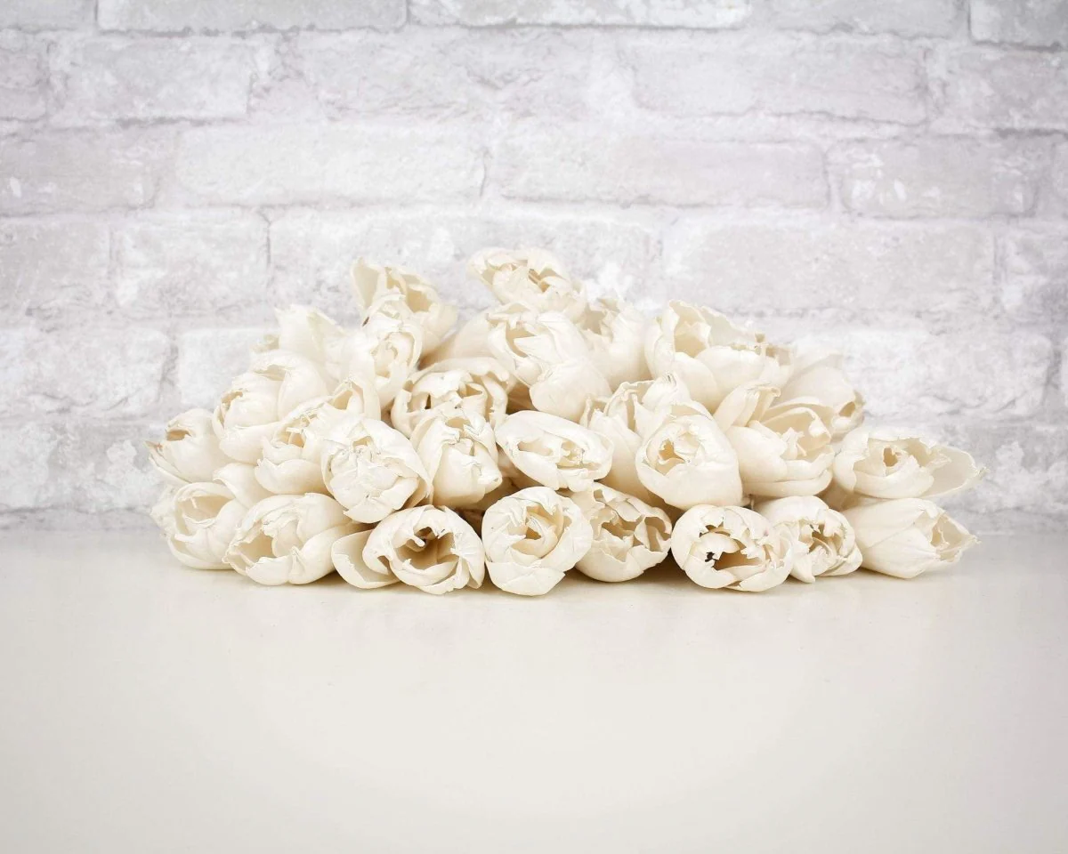3" Precious Tulip - 50 Pack