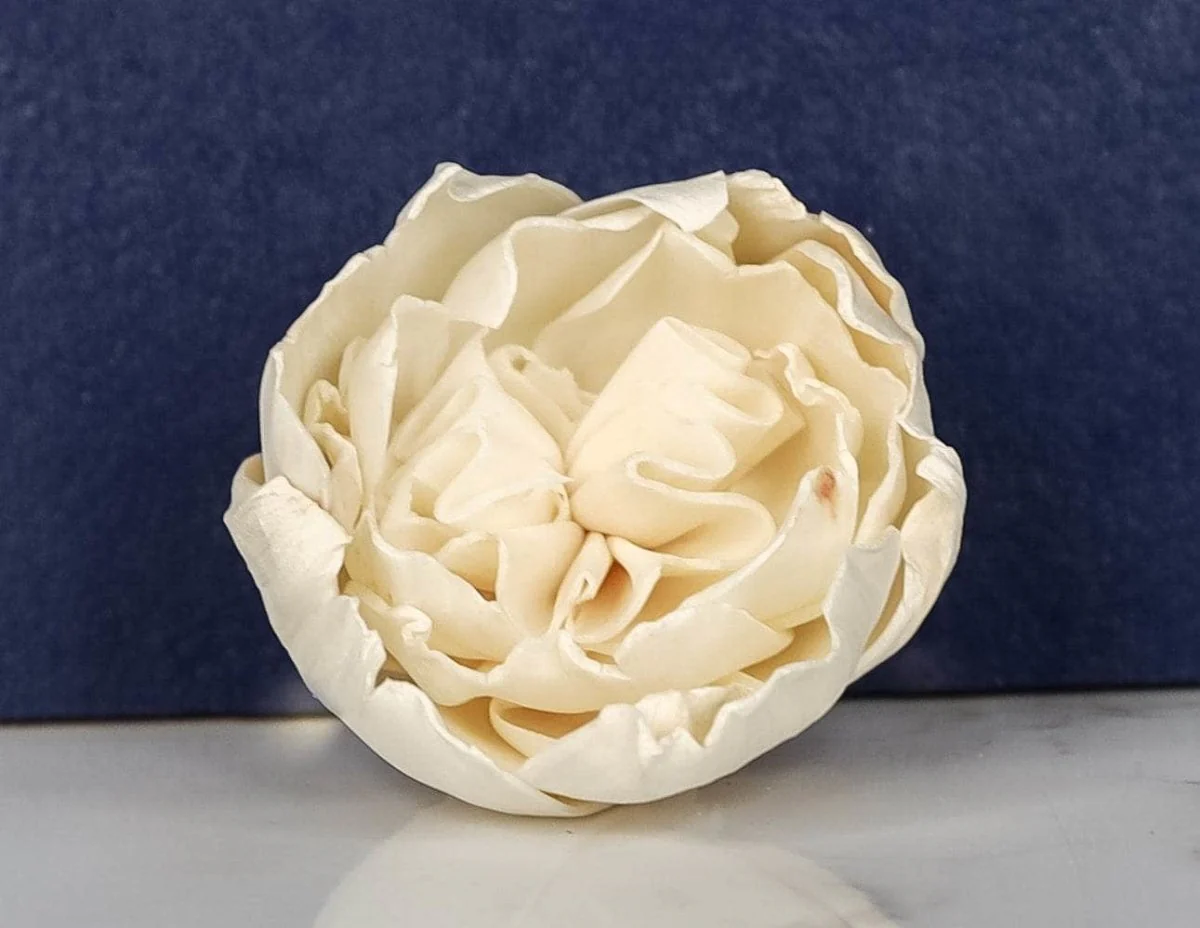 3" Rosie (10 Pack) - Image 3