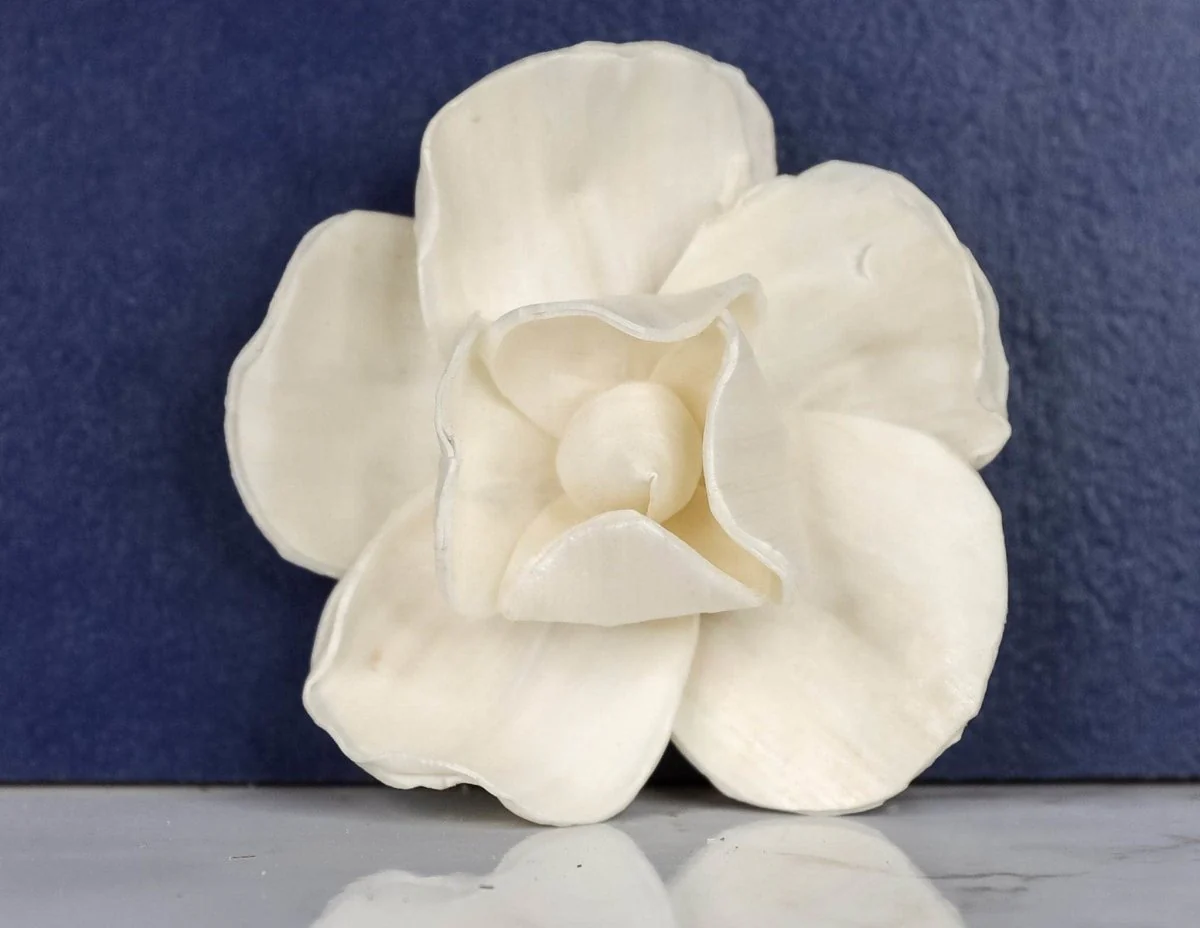3" Tess (10 Pack) - Image 2