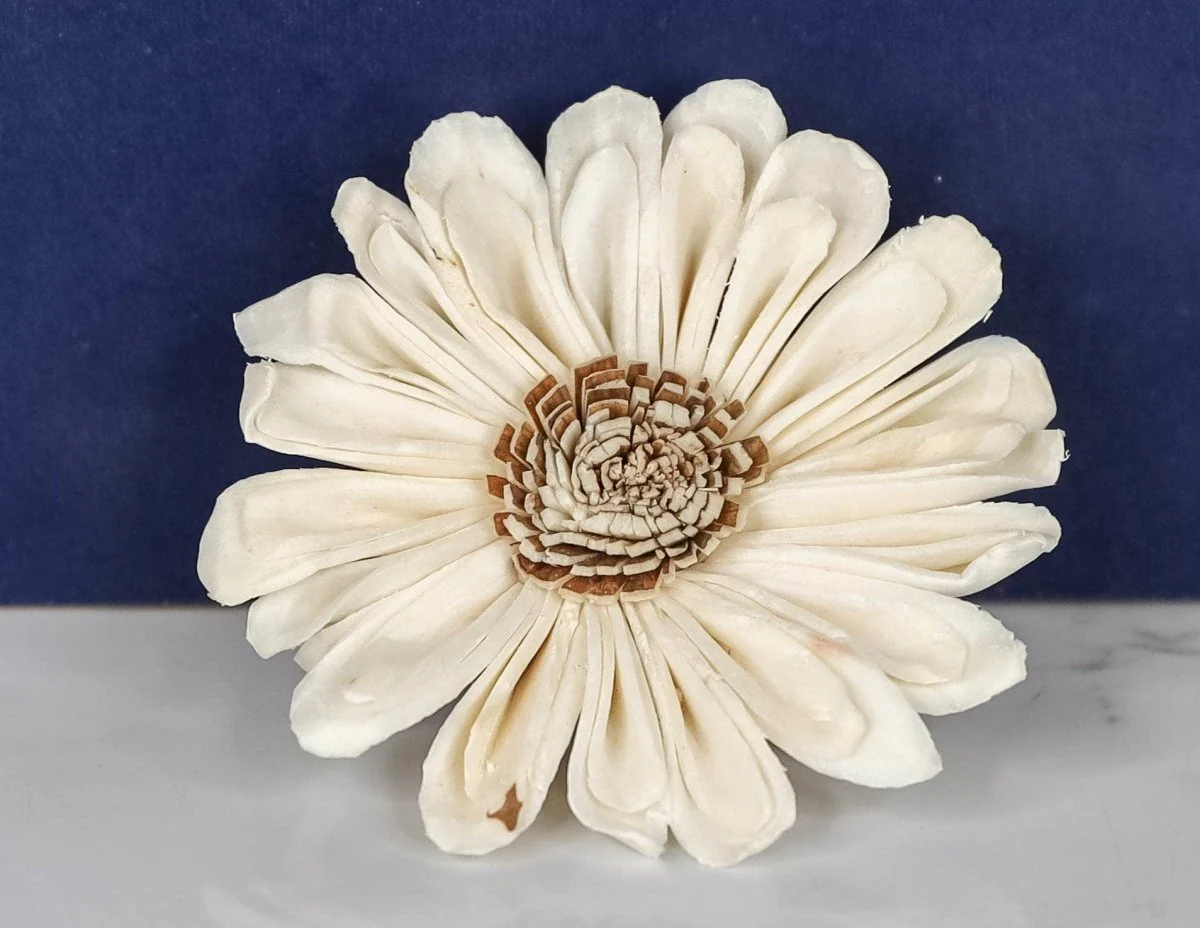 3" Windy Sunflower (10 pack) - Image 2