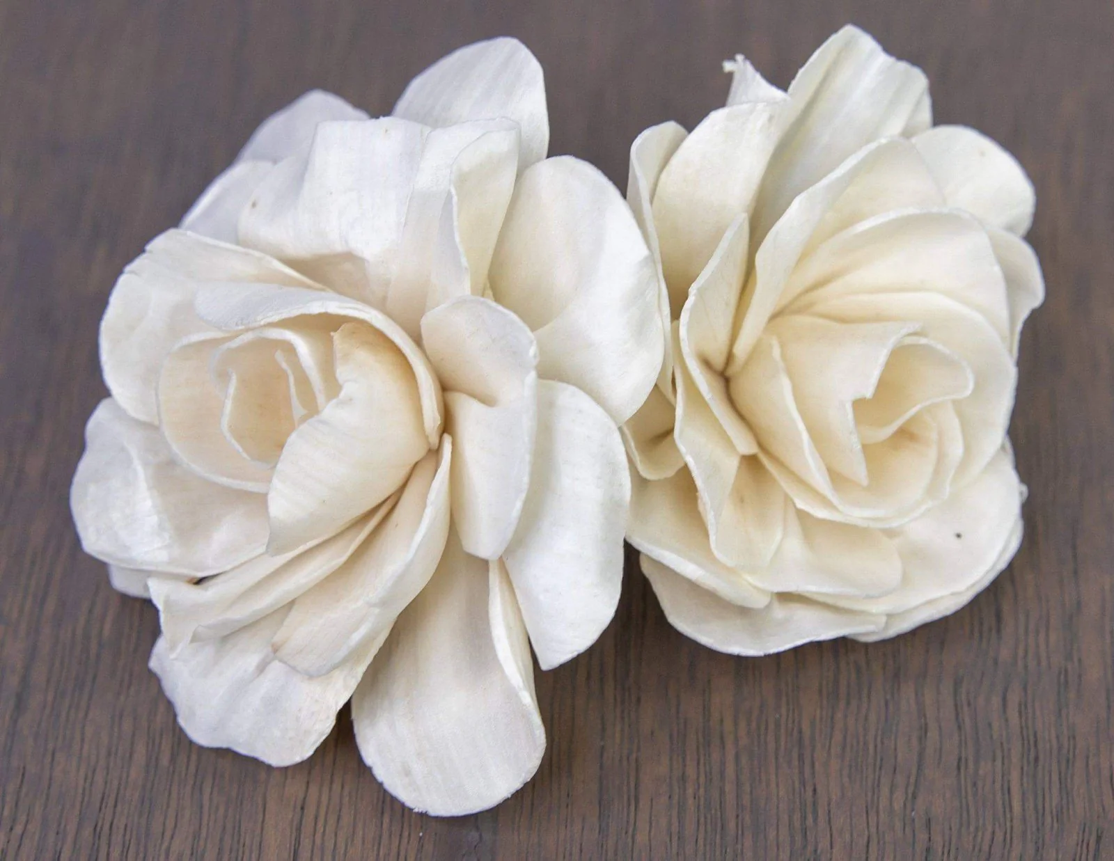 4" Belmont Gardenia (10 Pack) - Image 3
