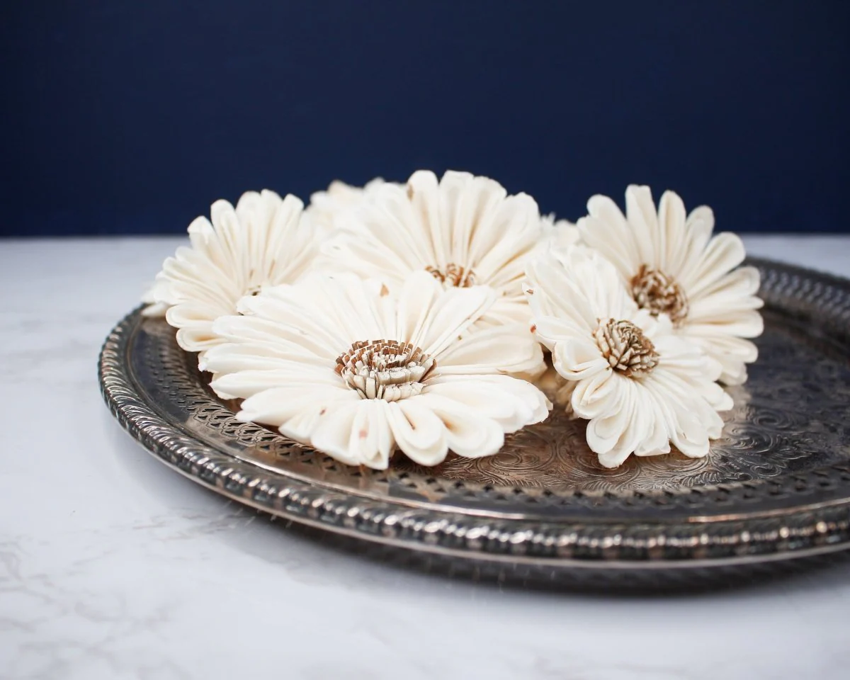 4" Daisy May (10 Pack)