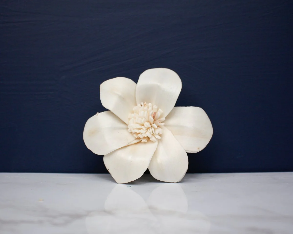 4" Stargazer Lily (10 pack) - Image 2