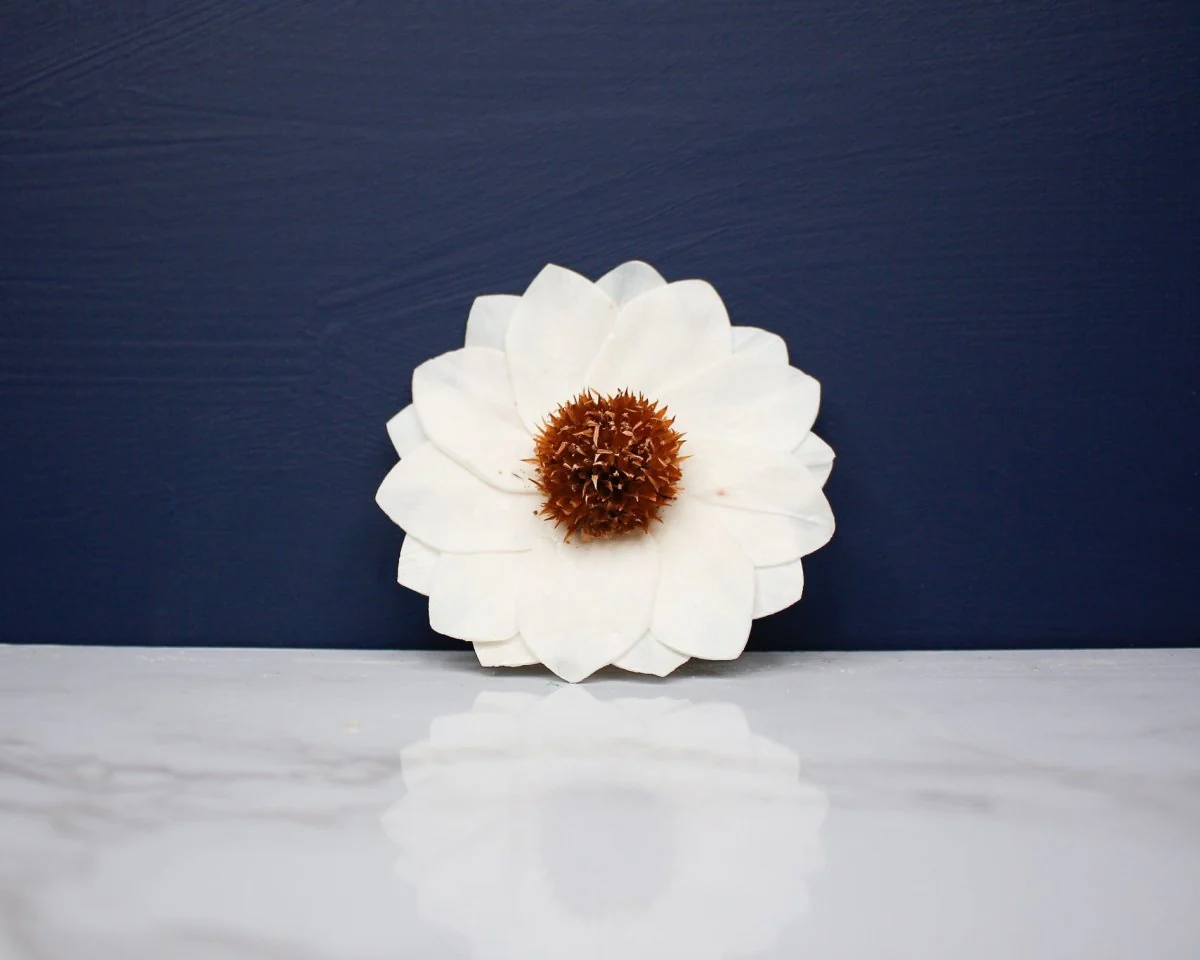 4" Thistle Sunflower (10 pack) - Image 2