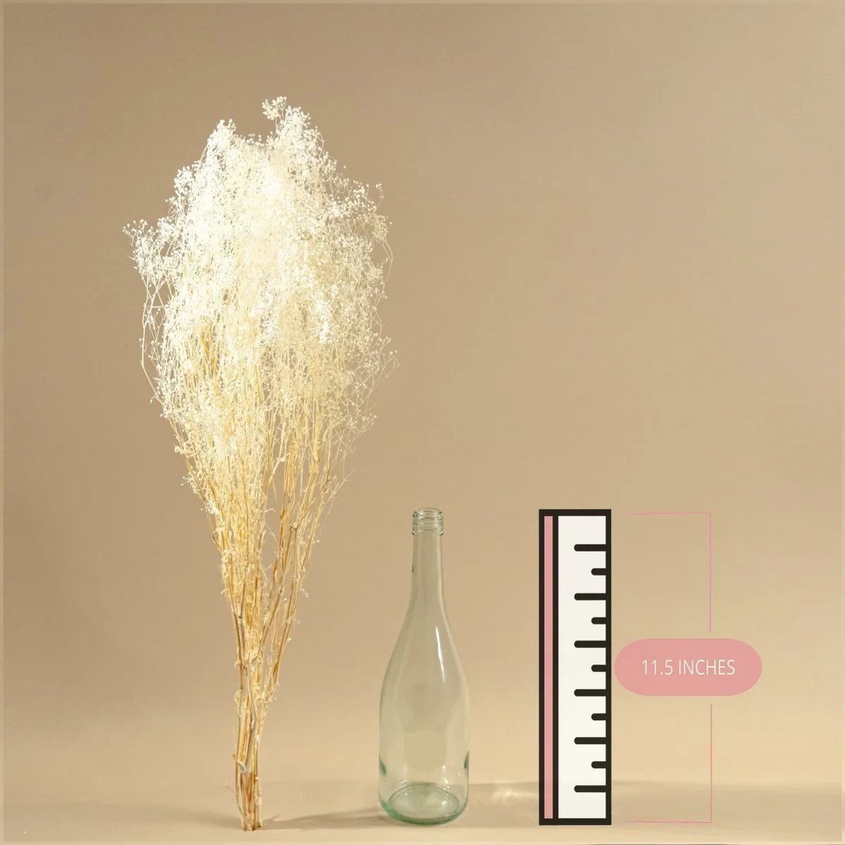 Baby's Breath (White) - Sample - Image 2
