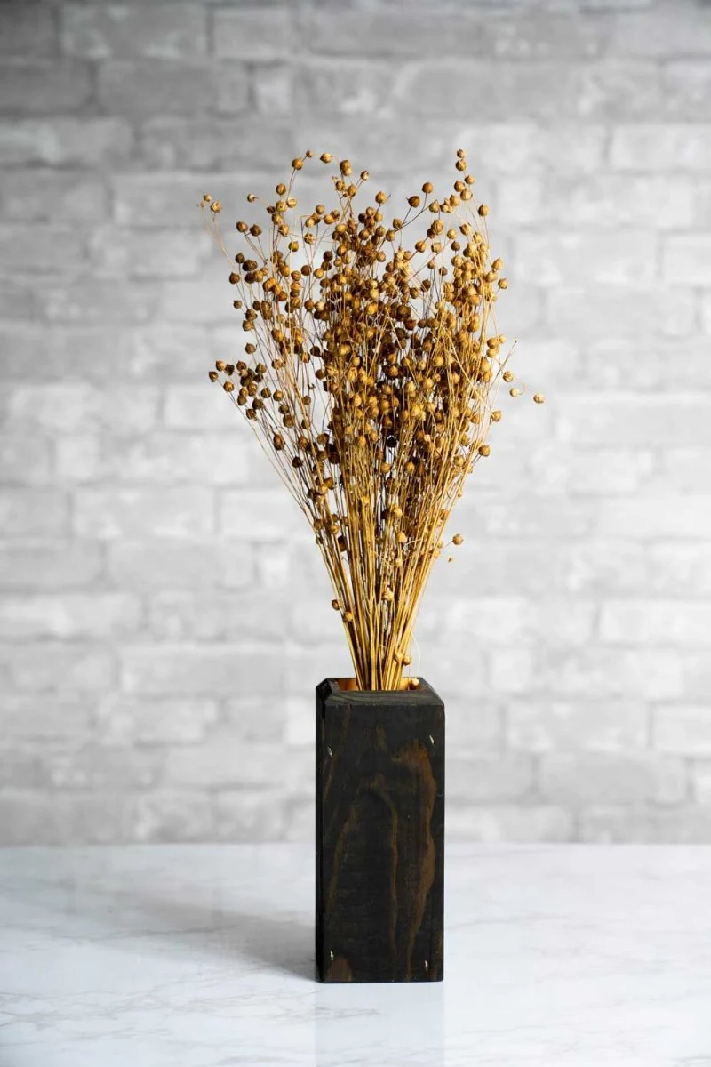 Lino Grass