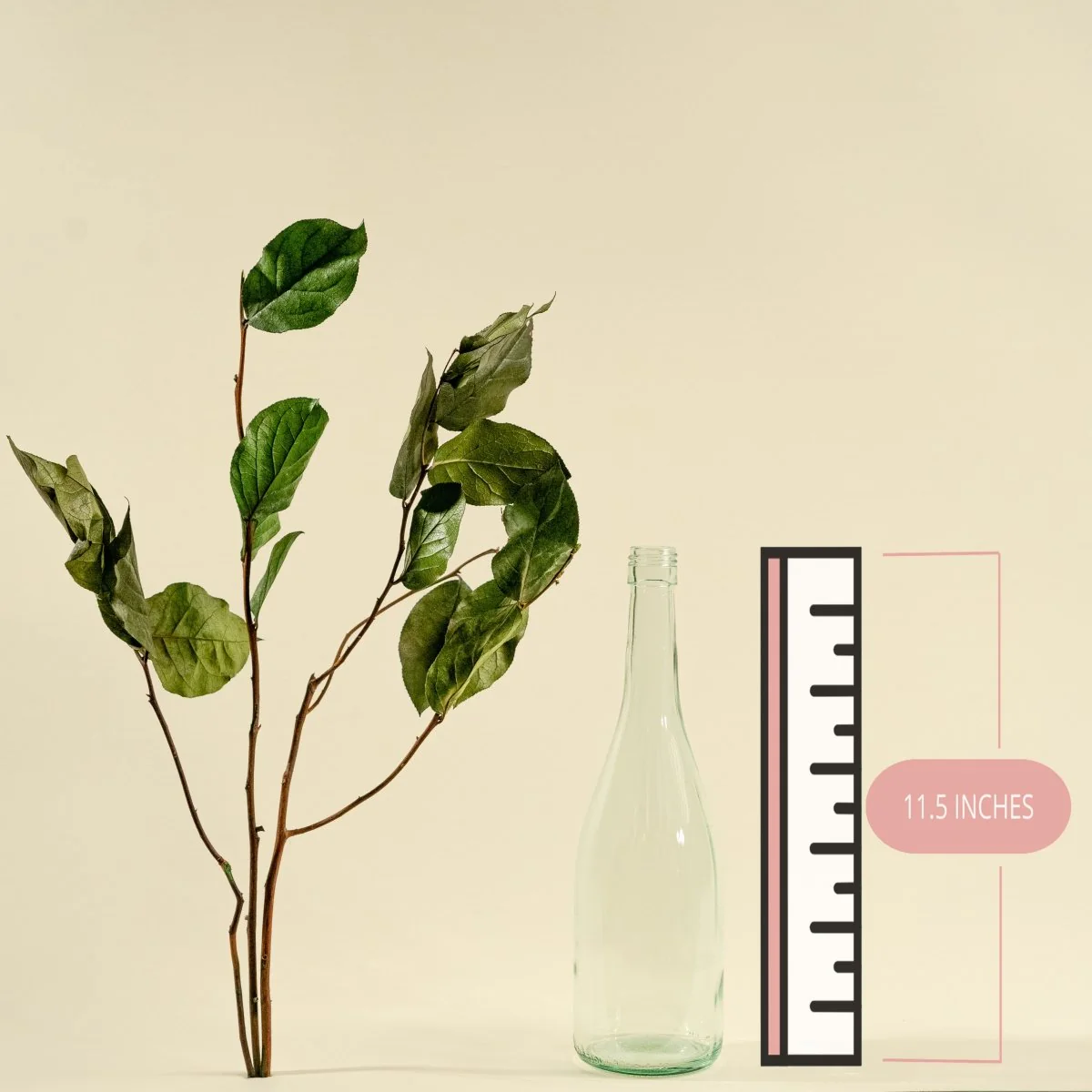 Preserved Salal (Green) - Sample - Image 2