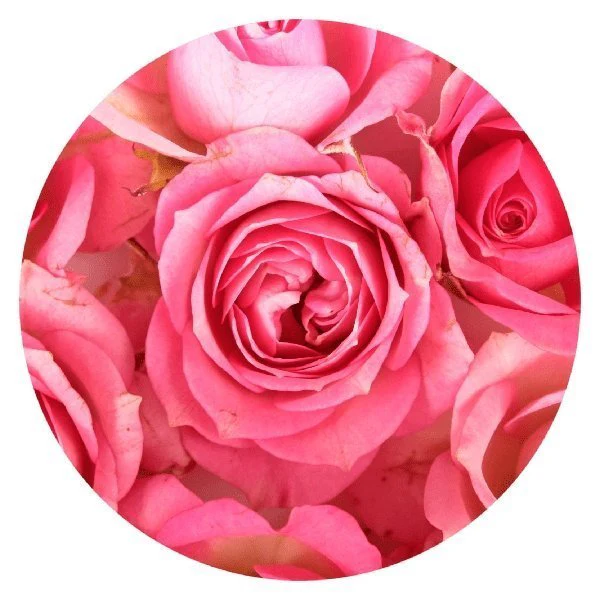 Scents 50 Random Assortments - Image 3